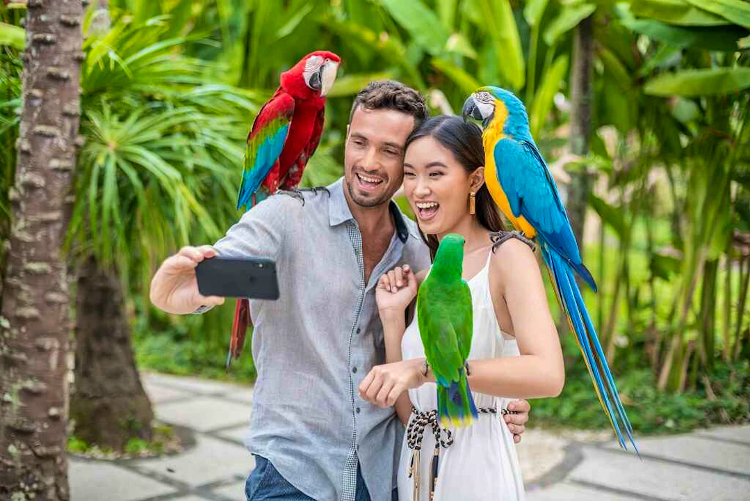 Bali Bird Park Tickets Category